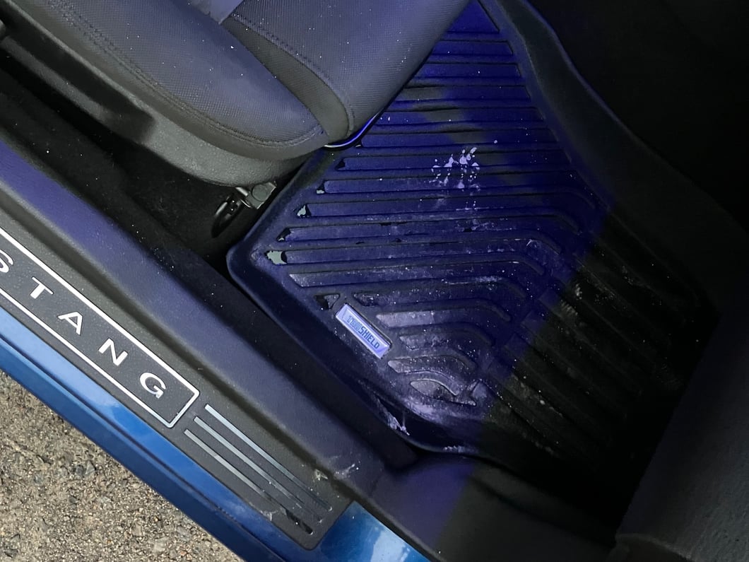 TruShield Precision Molded Floor Liners; Front and Rear (05-09 Mustang)